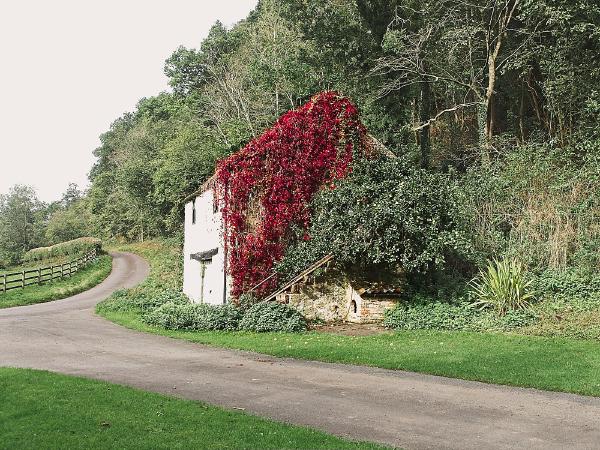 A fun afternoon walk around Riveaulx abbey. This house stood out to us on the edge of a turning point, drabed in a stunning display of apples and red foliage.