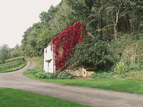 A fun afternoon walk around Riveaulx abbey. This house stood out to us on the edge of a turning point, drabed in a stunning display of apples and red foliage.