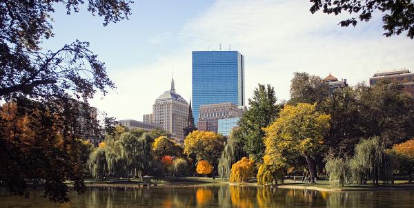 A morning walk through Boston Common "in the fall". The changing trees looking stunning over the lake. I thought that this slightly muted edit suited the slightly overcast morning.
