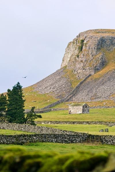 Houses nestled at the base of hills fill me with a sense of calm. In this case with a kite soaring above the trees, makes for a classic Yorkshire Dales scene.