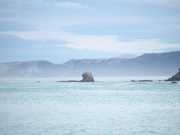 Landscapes