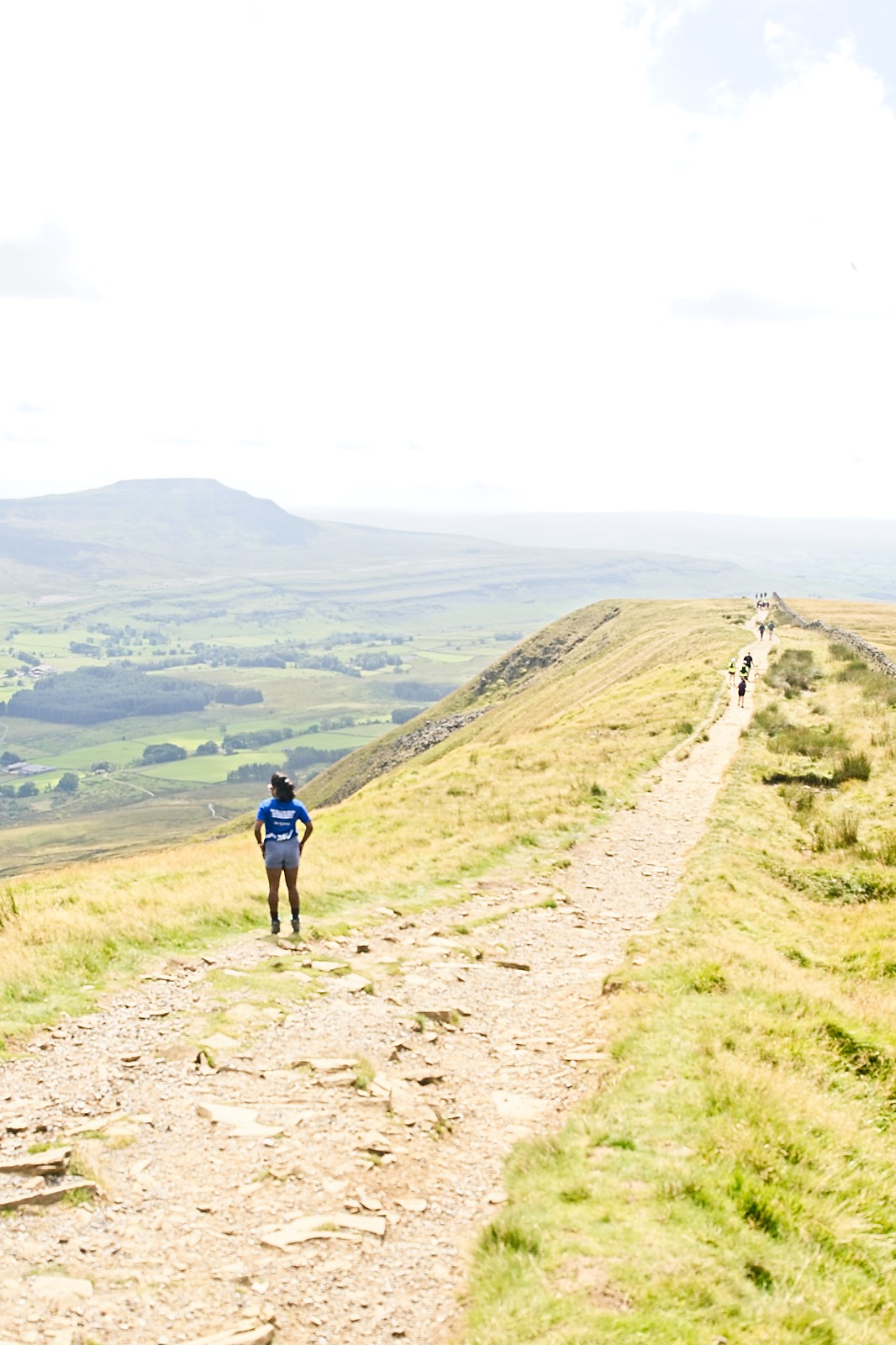 First summit of Whernside meant I'd completed all of Yorkshire's 3 tallest peaks. This vista at the beginning of the descent, looking out at the distinctive profile of Ingleborough.